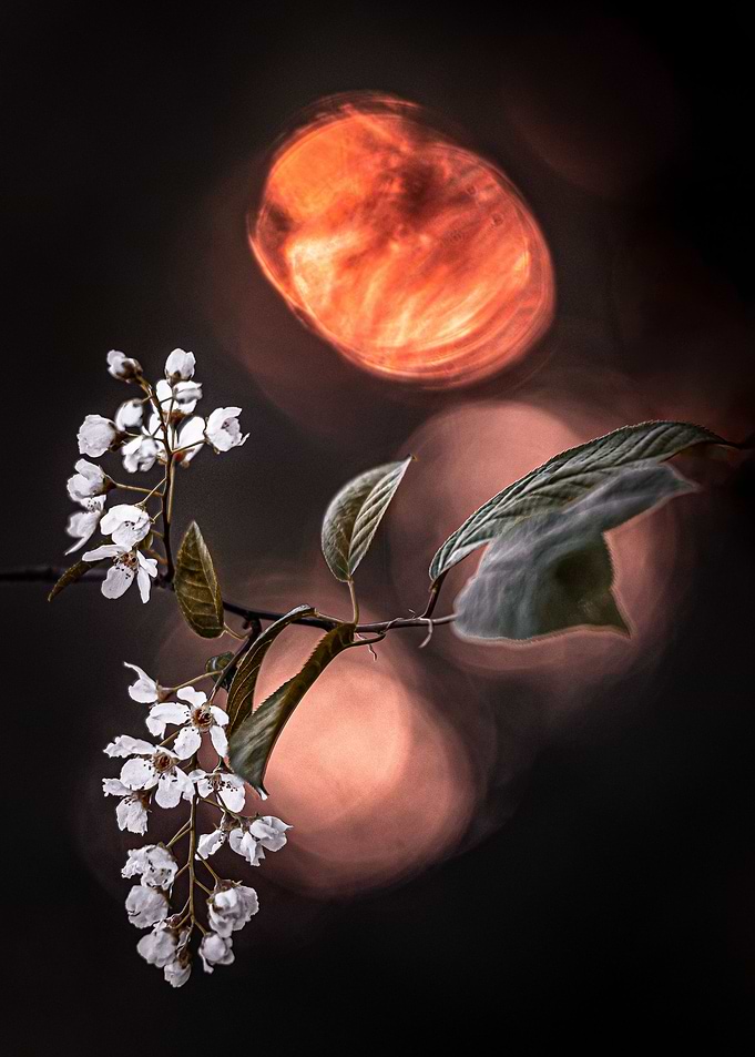 Spring sunset