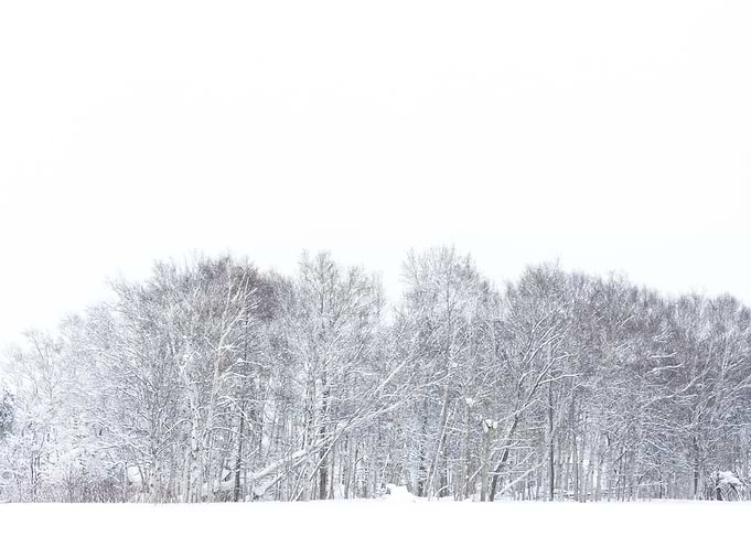 Winter solitude