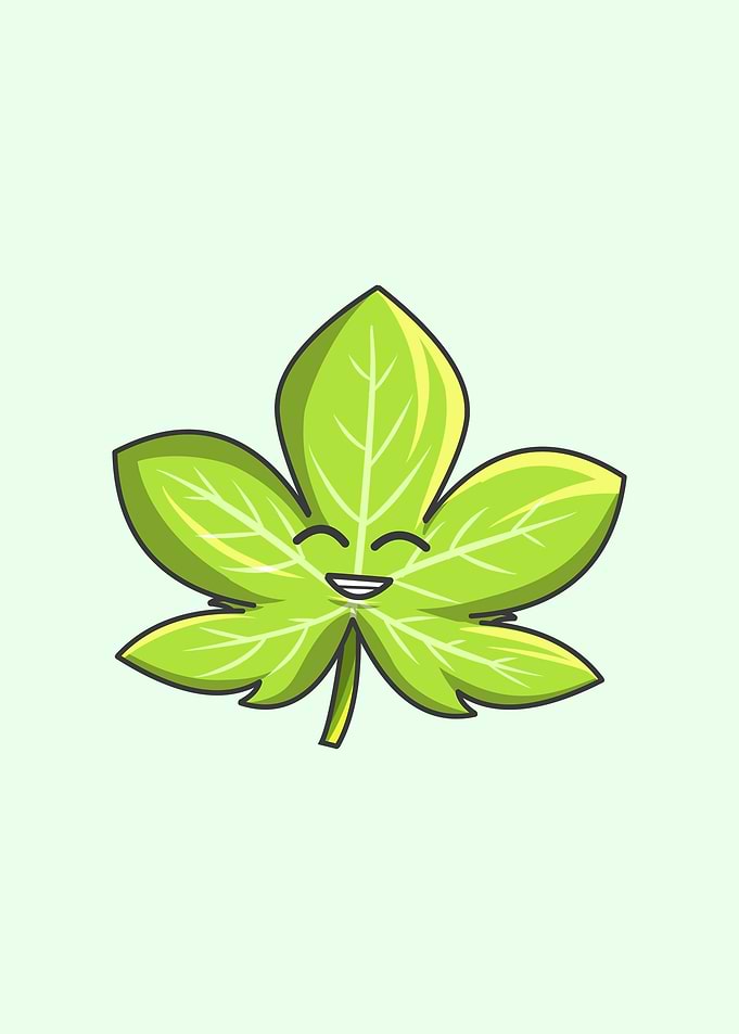 Leaf Kawaii