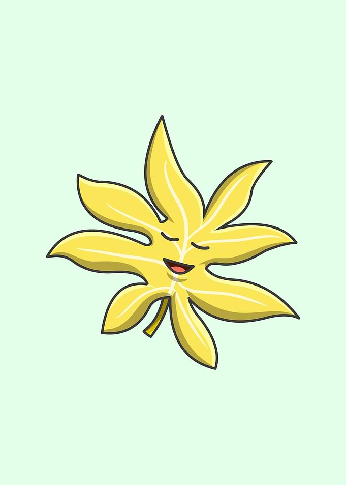 Silver Maple Kawaii