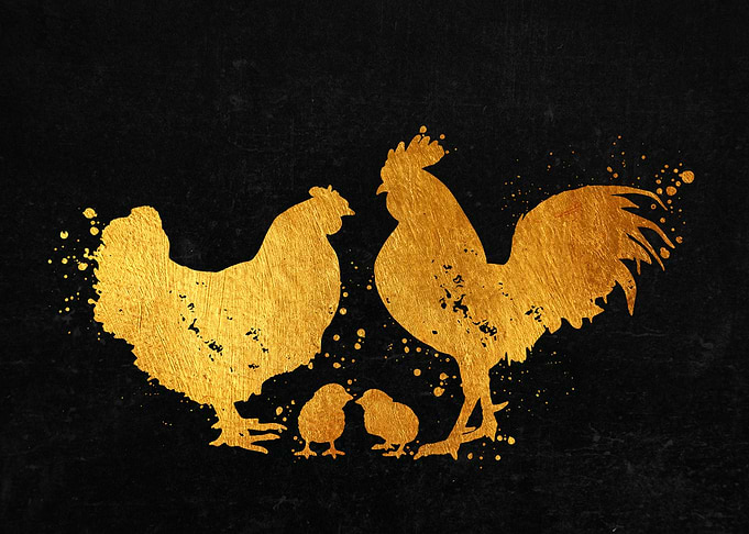 Chicken Family