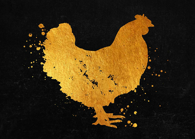Chicken