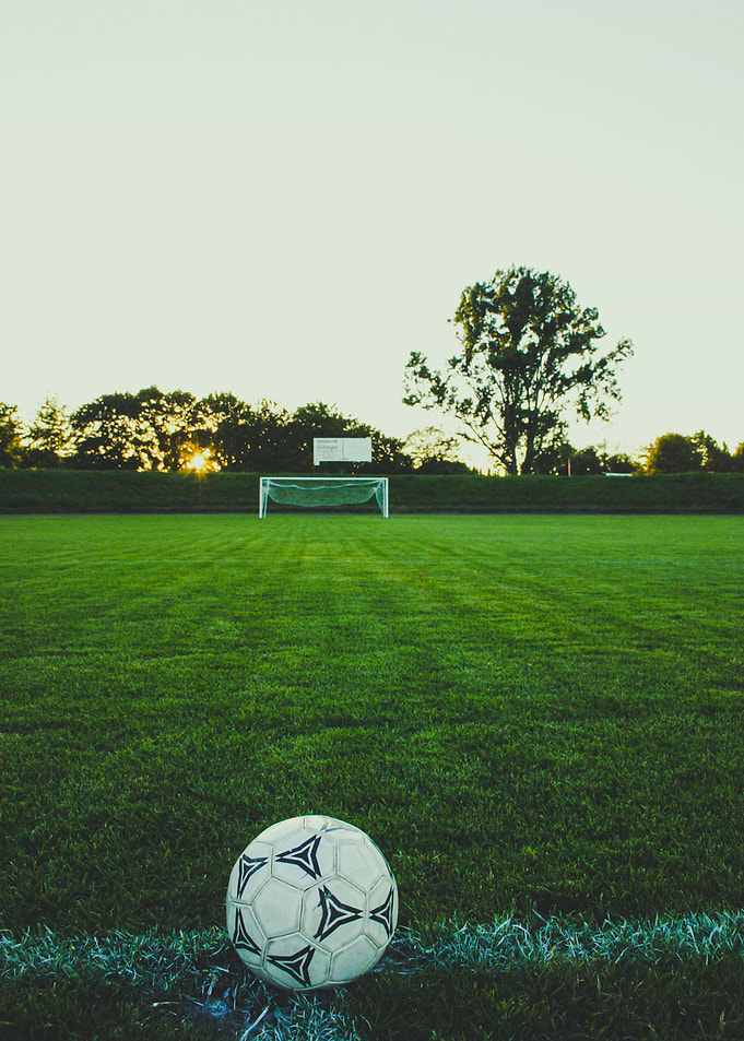 Soccer ball on green grass