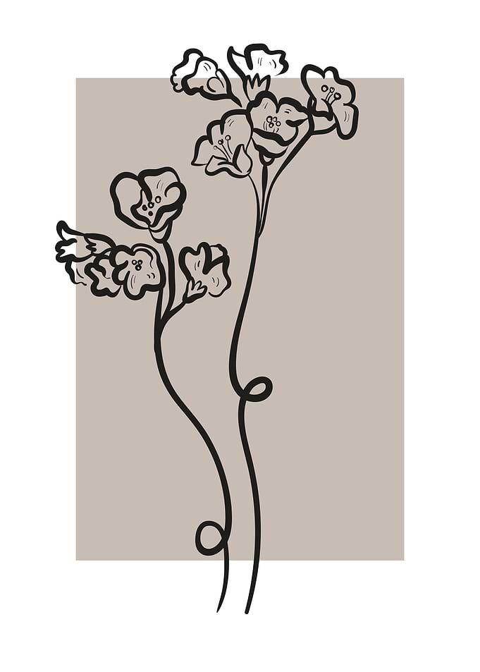 Abstract tropical plant