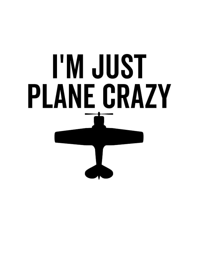 Im Just Plane Crazy
