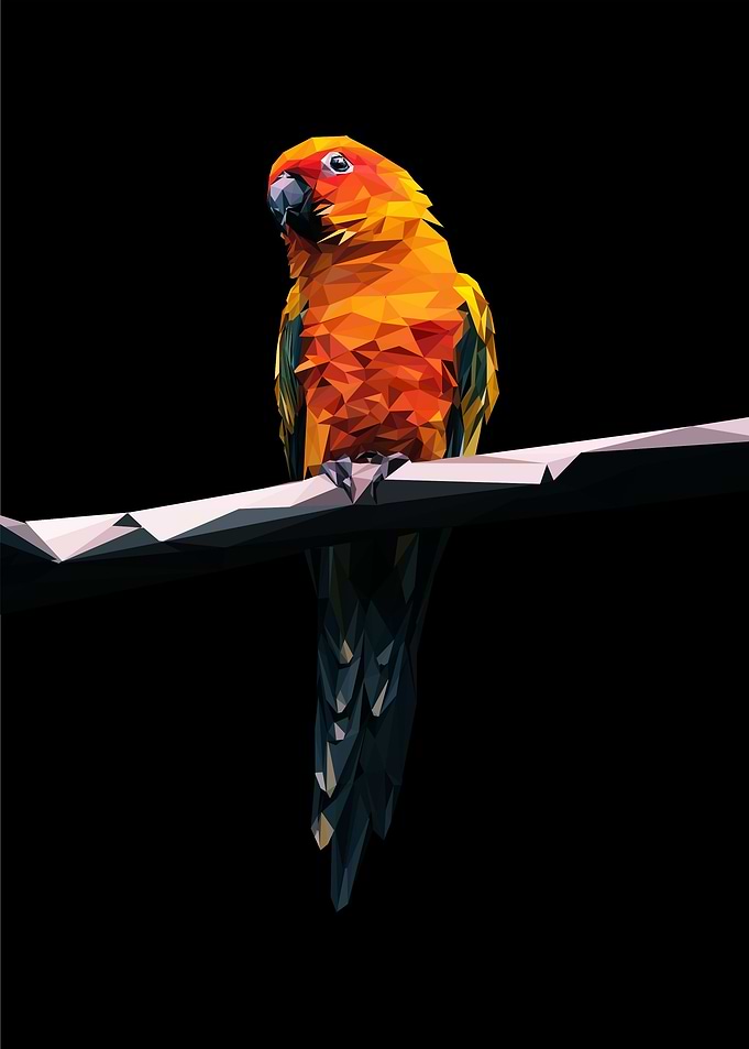 parrot