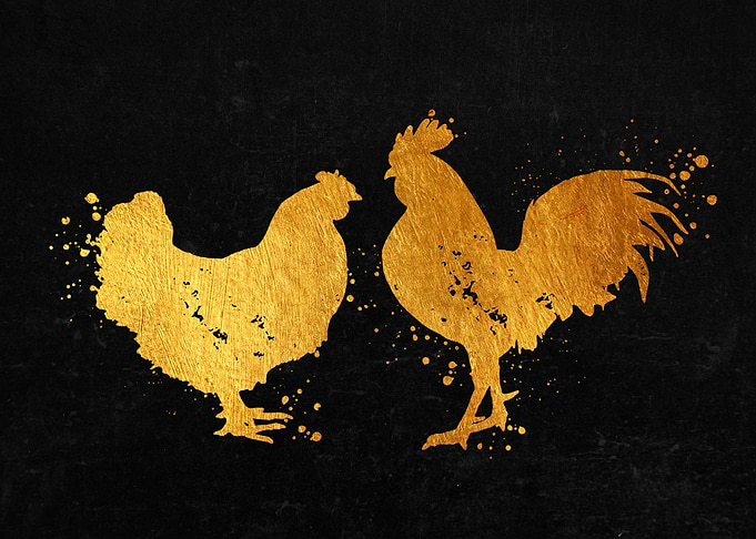 Chicken and Rooster Couple