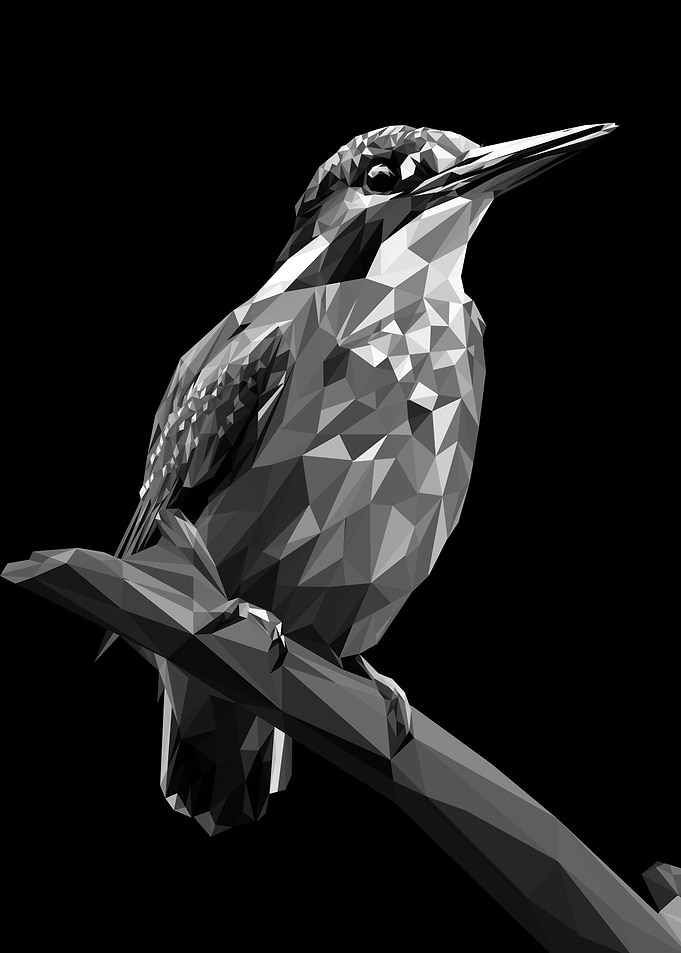 kingfisher