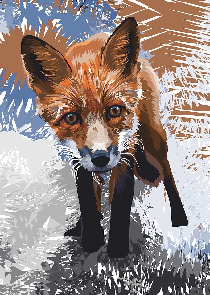 Fox 1