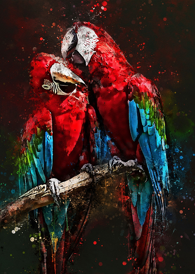 parrots