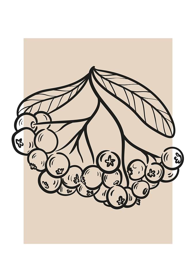 Vintage botanical flowers