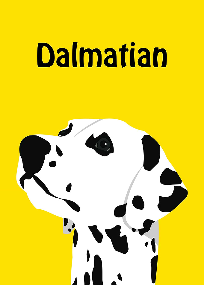 Dalmatian