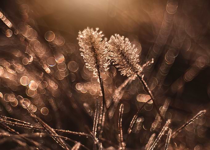 Winter impressions