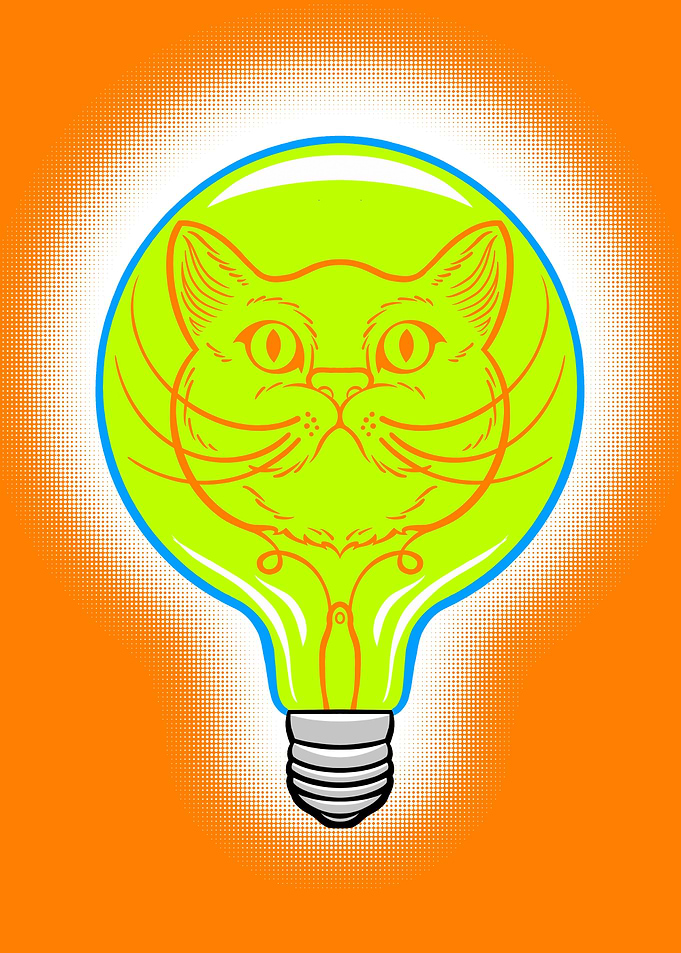 Light Bulb Cat