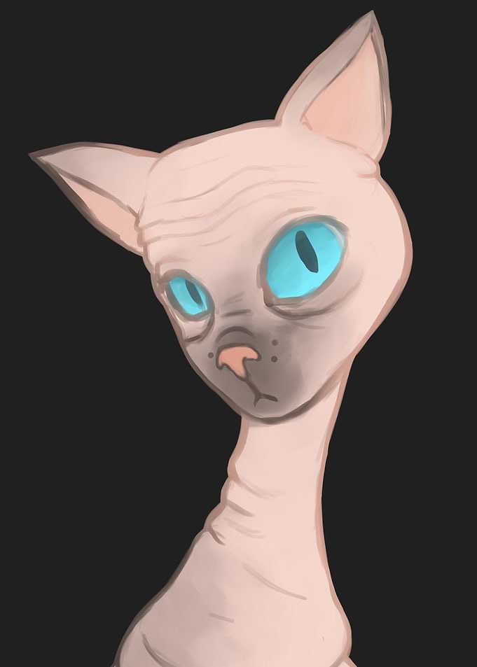 Sphinx cat