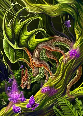 Butterfly tropical dragon