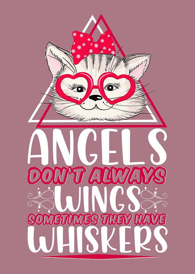ANGELS DO NOT ALWAYS WINGS
