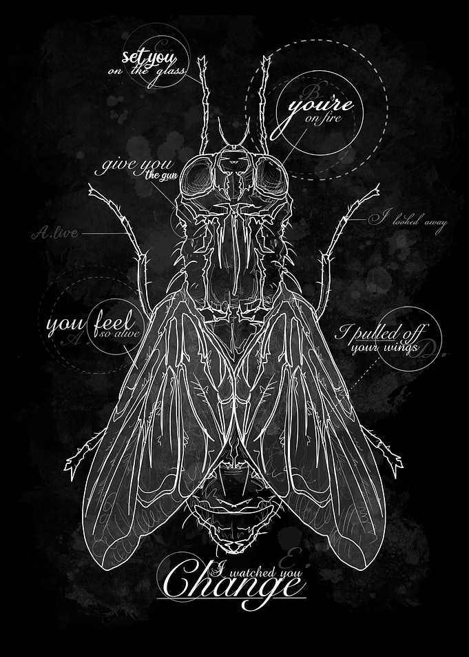 The Fly