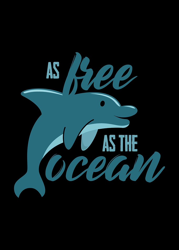 Dolphin