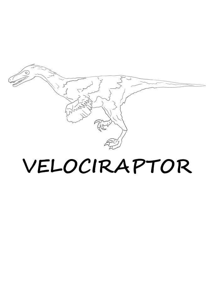 Dinosaurier Fossil Skelett