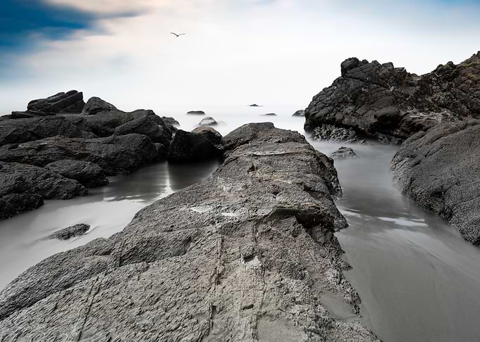 Textured beautiful reefs