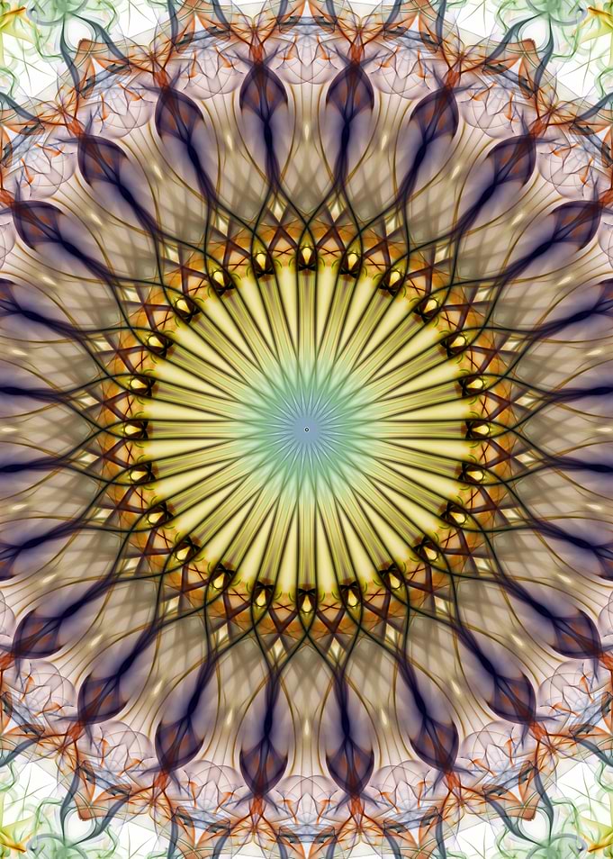 Plum and Honey mandala