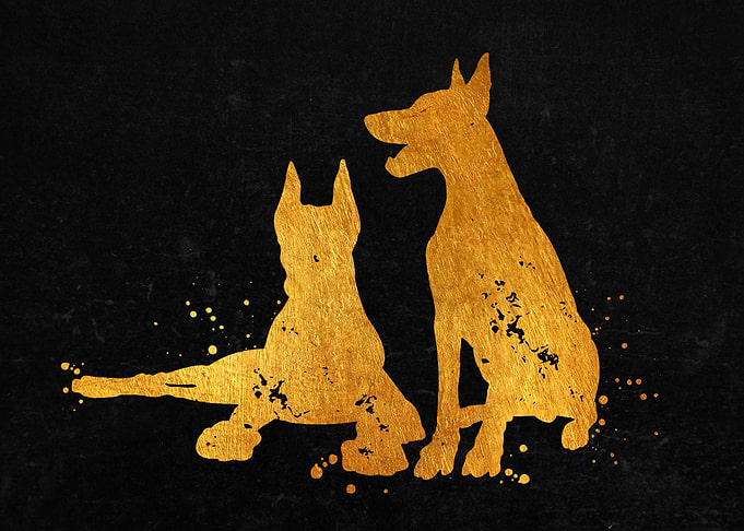 Doberman Dogs