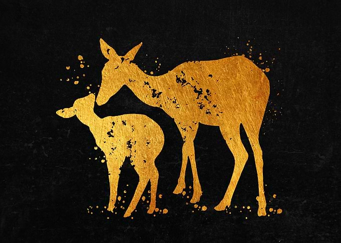 Deer Family