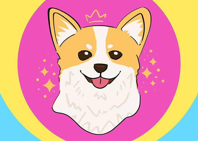 Corgi Portrait