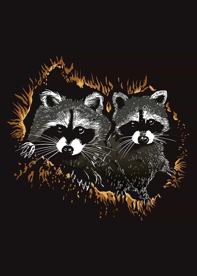Realistic raccoon animals