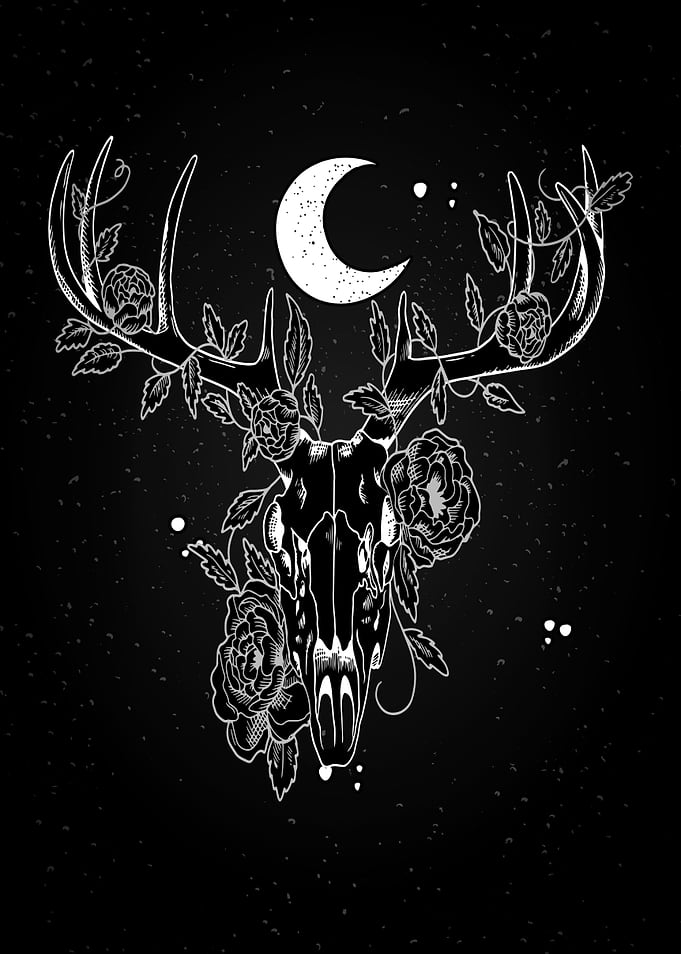 Celestial Deer Skull