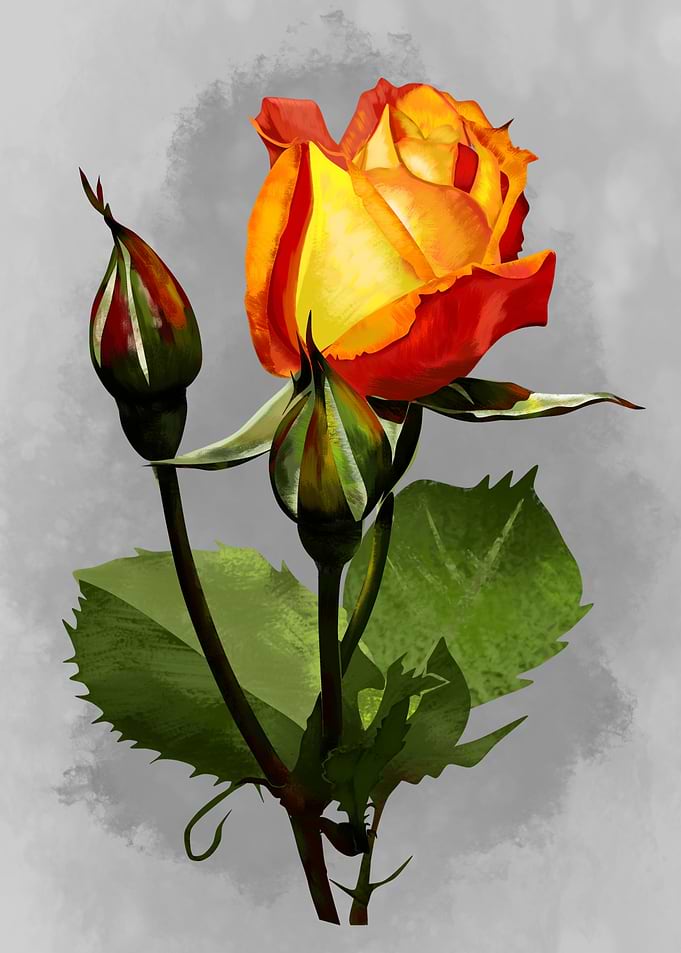 flower
