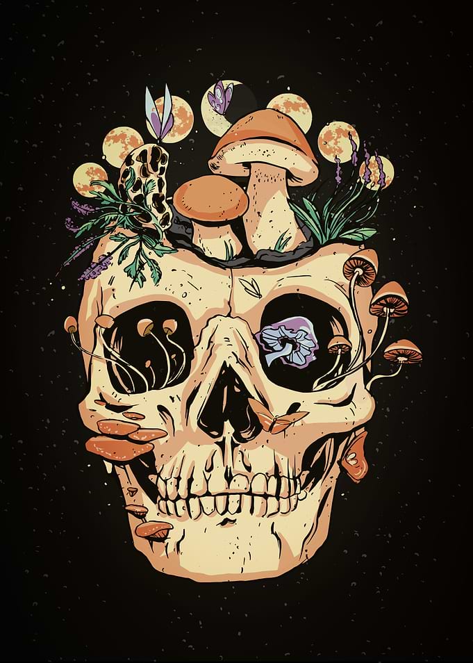 Mushroom Skull
