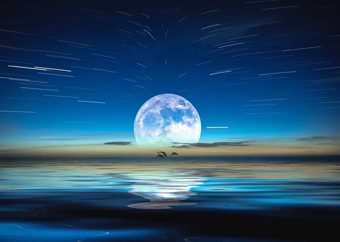 Sea by the Moonlight