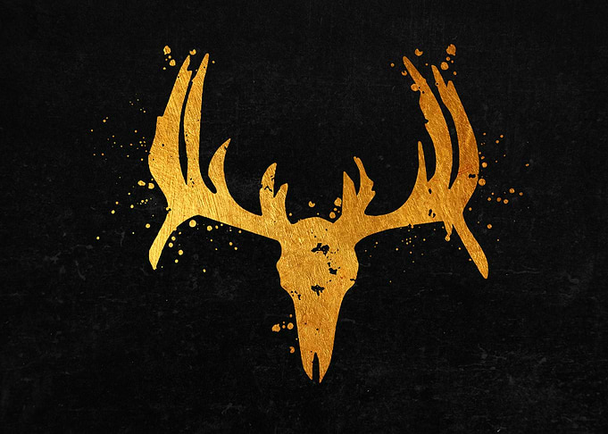 Deer Skull