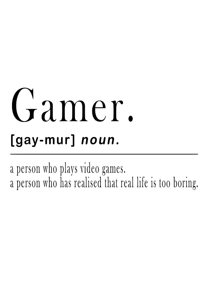 Gamer Definition