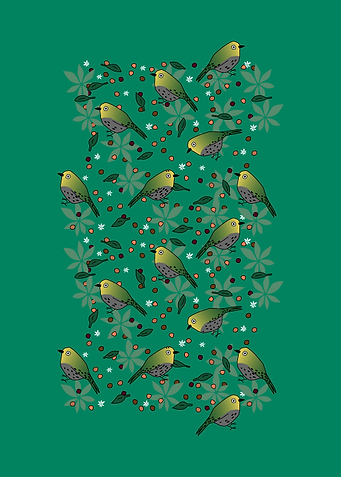 White Eye Bird Pattern
