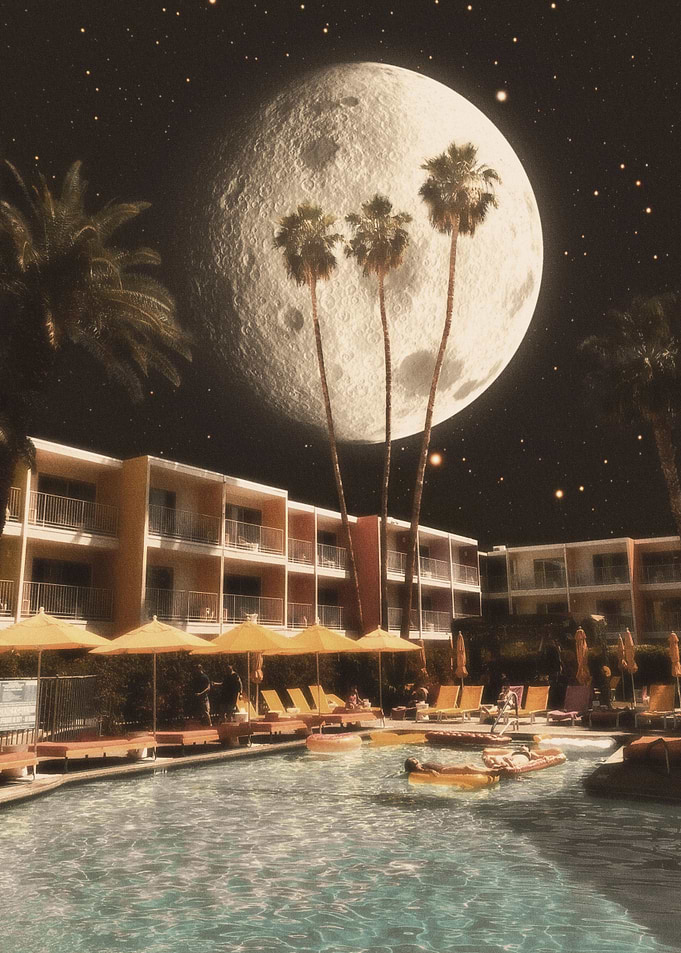 Under the moonlight