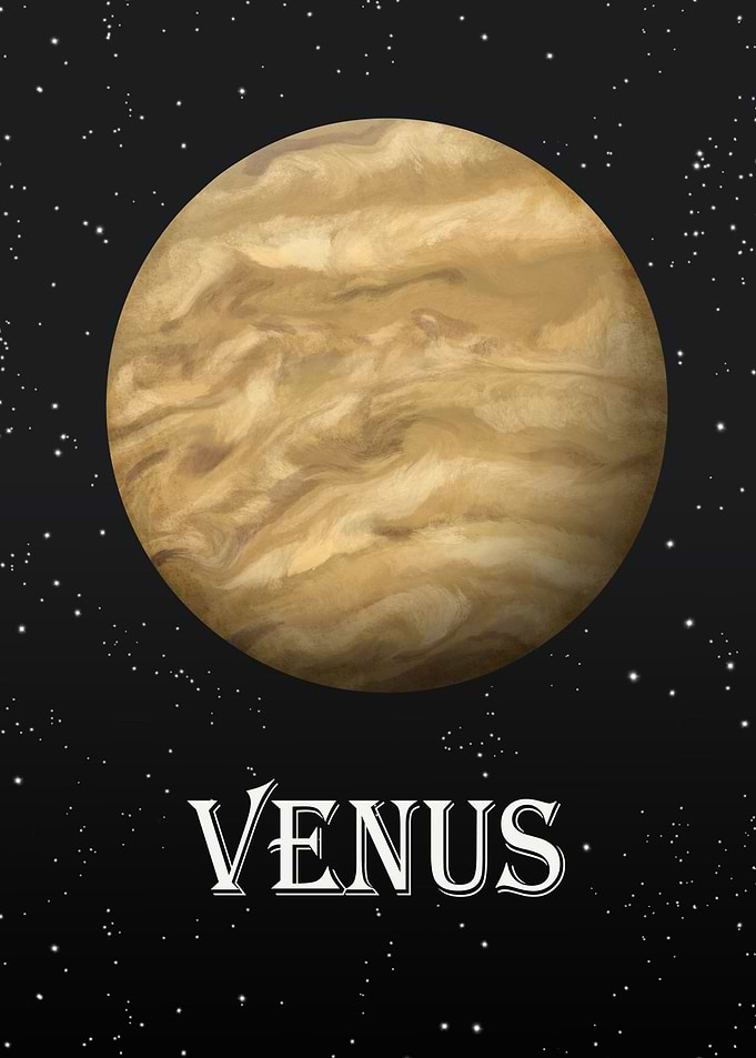 The Venus Goddess