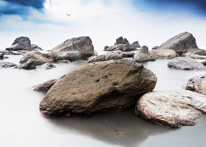 Textured beautiful reefs