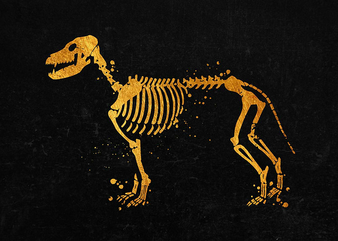 Dog Skeleton