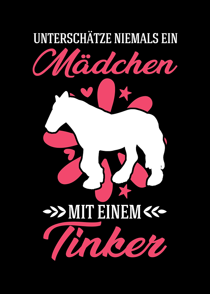 Irish Tinker Pferd Mdchen