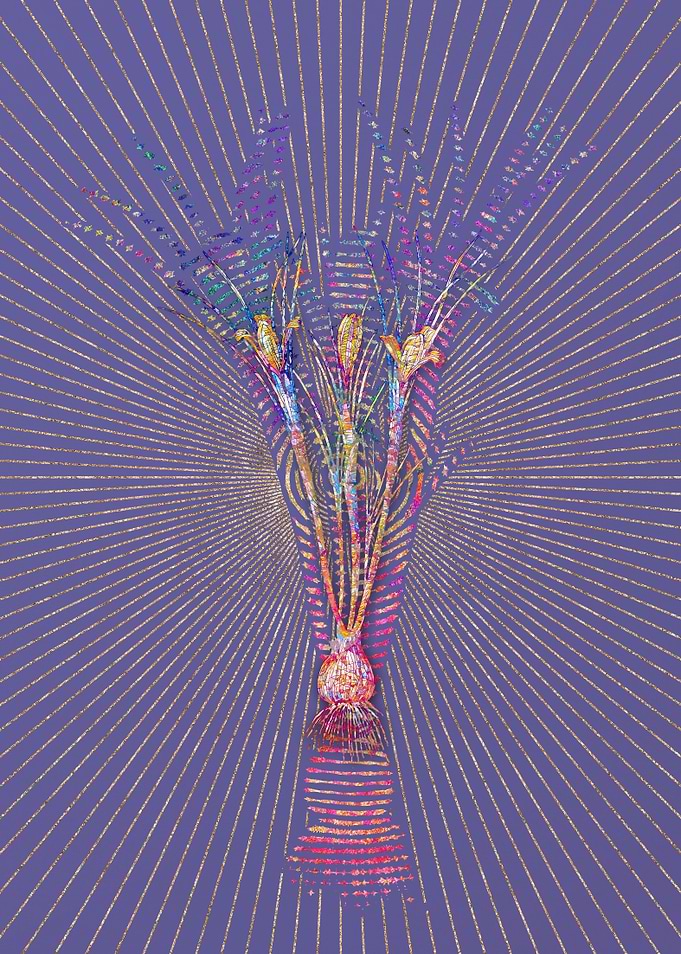 Cloth of Gold Crocus