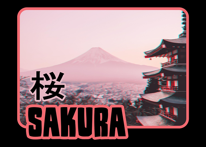 Sakura Cherry Blossom