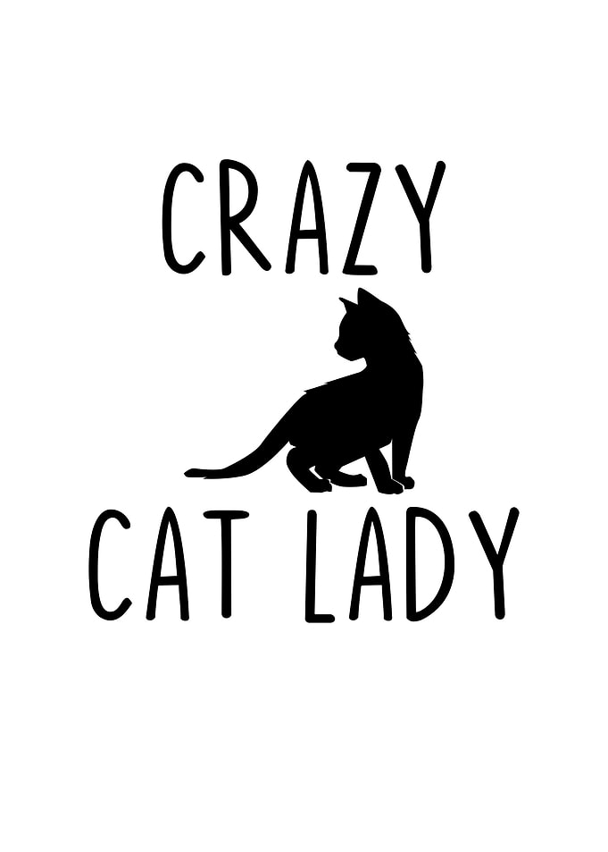 Crazy Cat Lady
