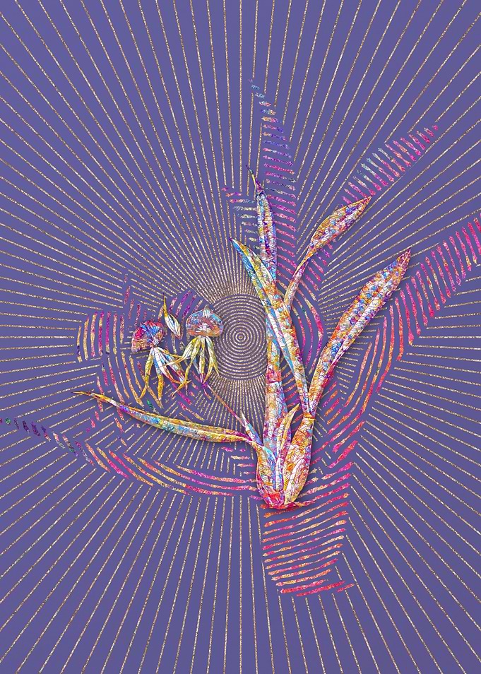 Clamshell Orchid Mosaic