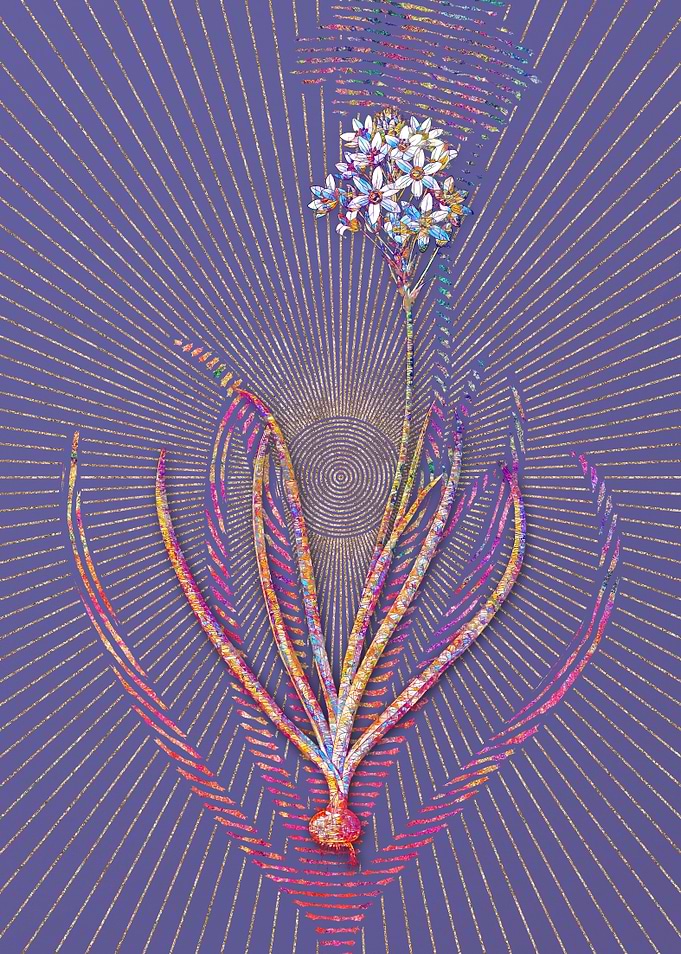 Arabian Starflower Mosaic