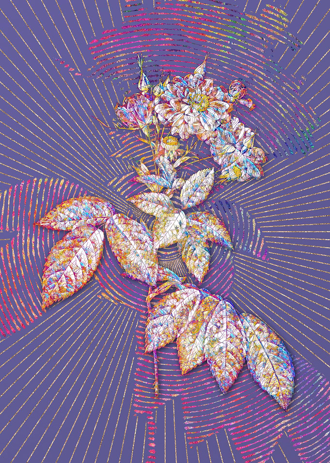 Boursault Rose Mosaic