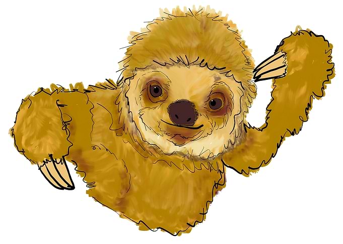 Sloth