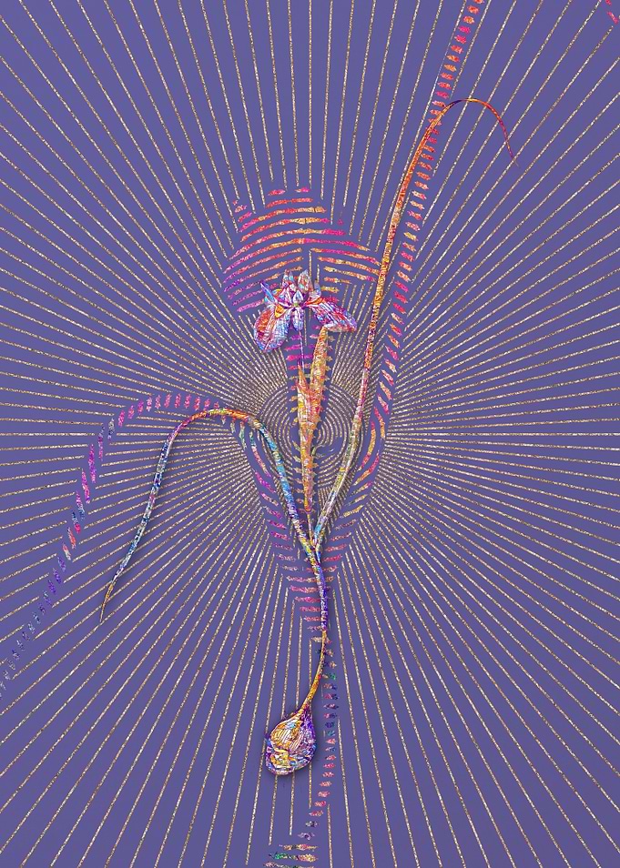 Barbary Nut Mosaic Floral